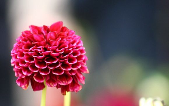 博纳讯动 怎么样