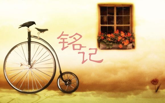 wifi信号增强器有什么用
