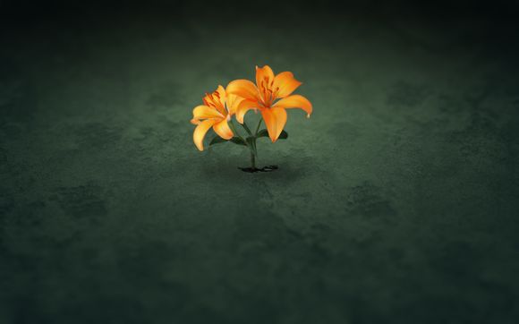 什么 是息税前利润率