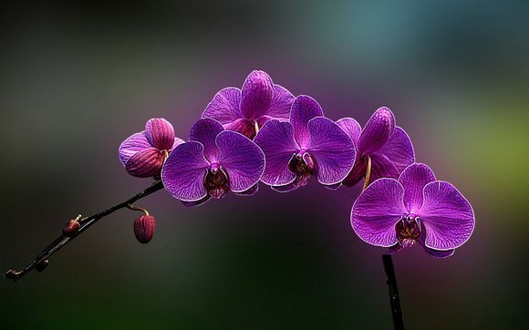 建行转50万多久到